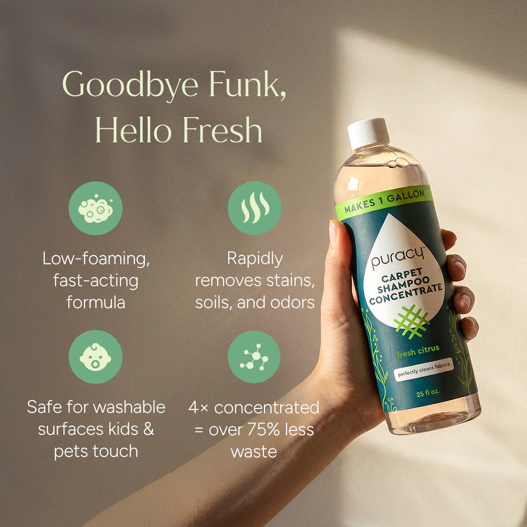 Carpet & Upholstery Shampoo